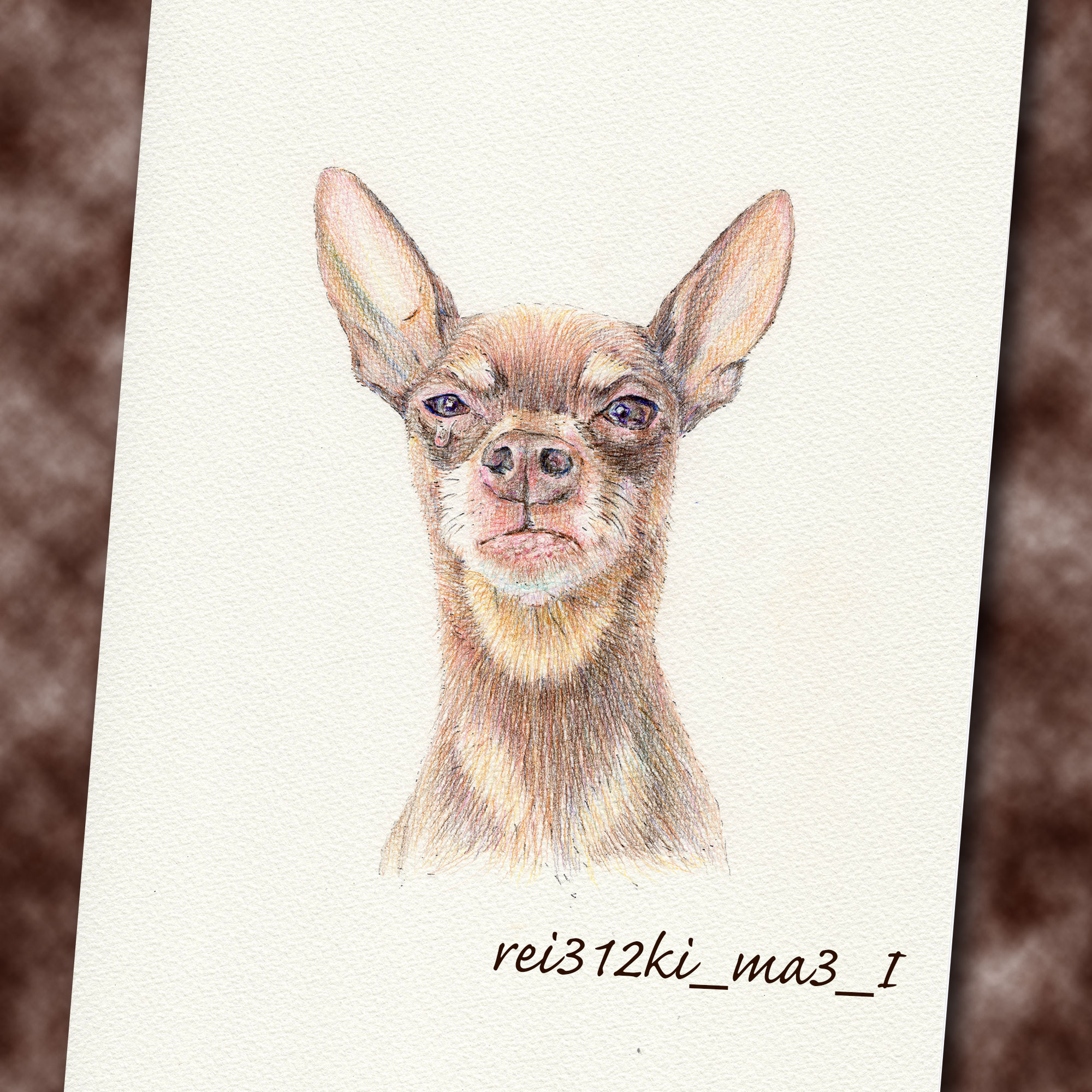 ミニピンの色鉛筆画