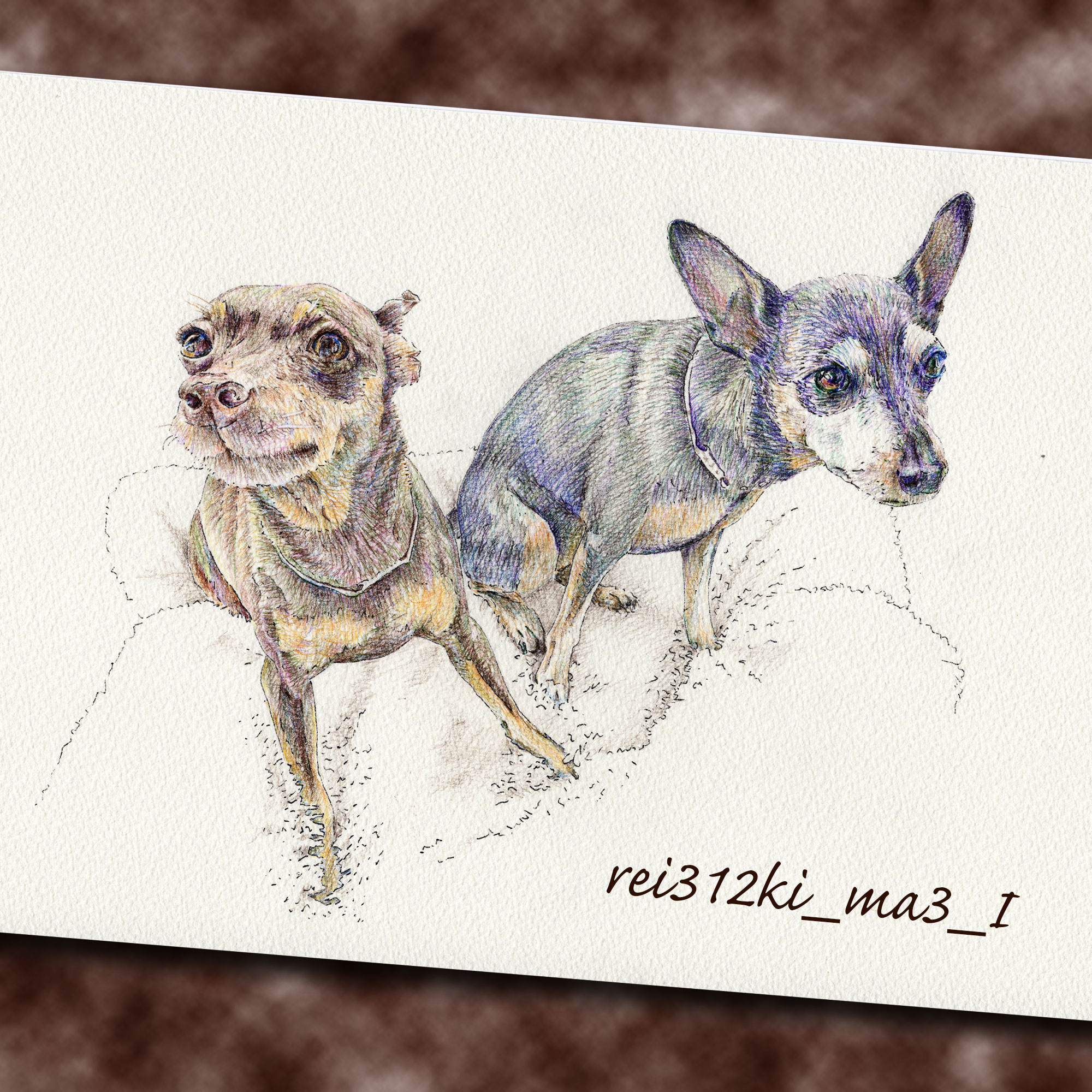 ミニチュアピンシャーの色鉛筆画