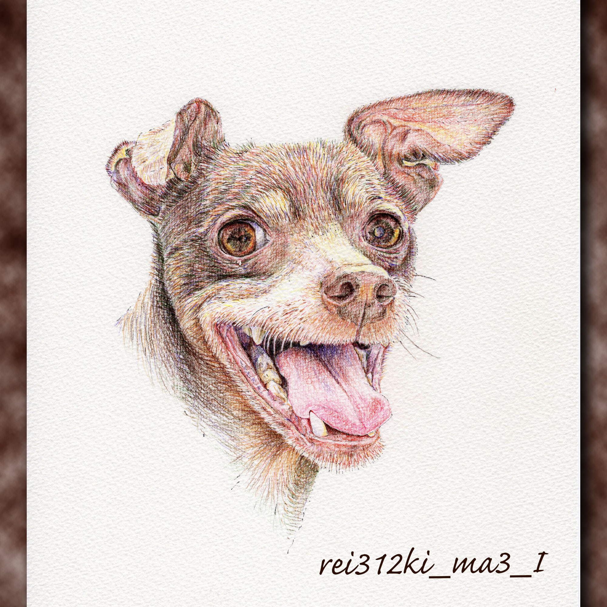 ミニピンの色鉛筆画