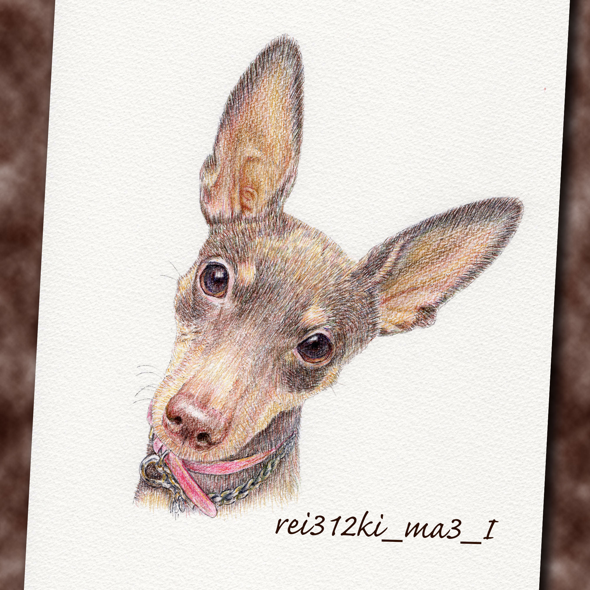 ミニピンの色鉛筆画