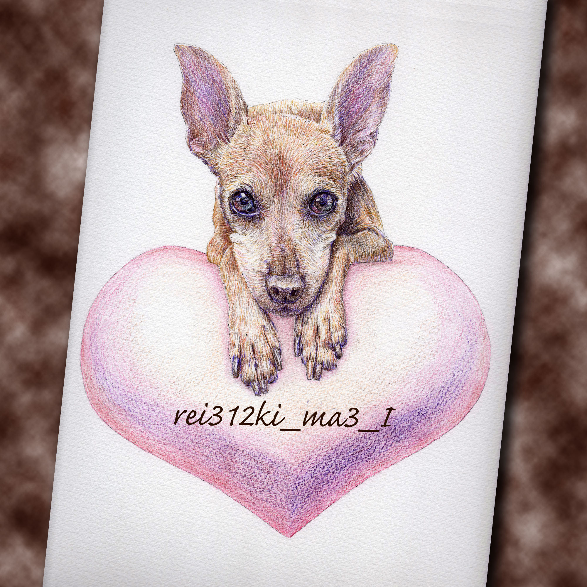 ミニピンの色鉛筆画