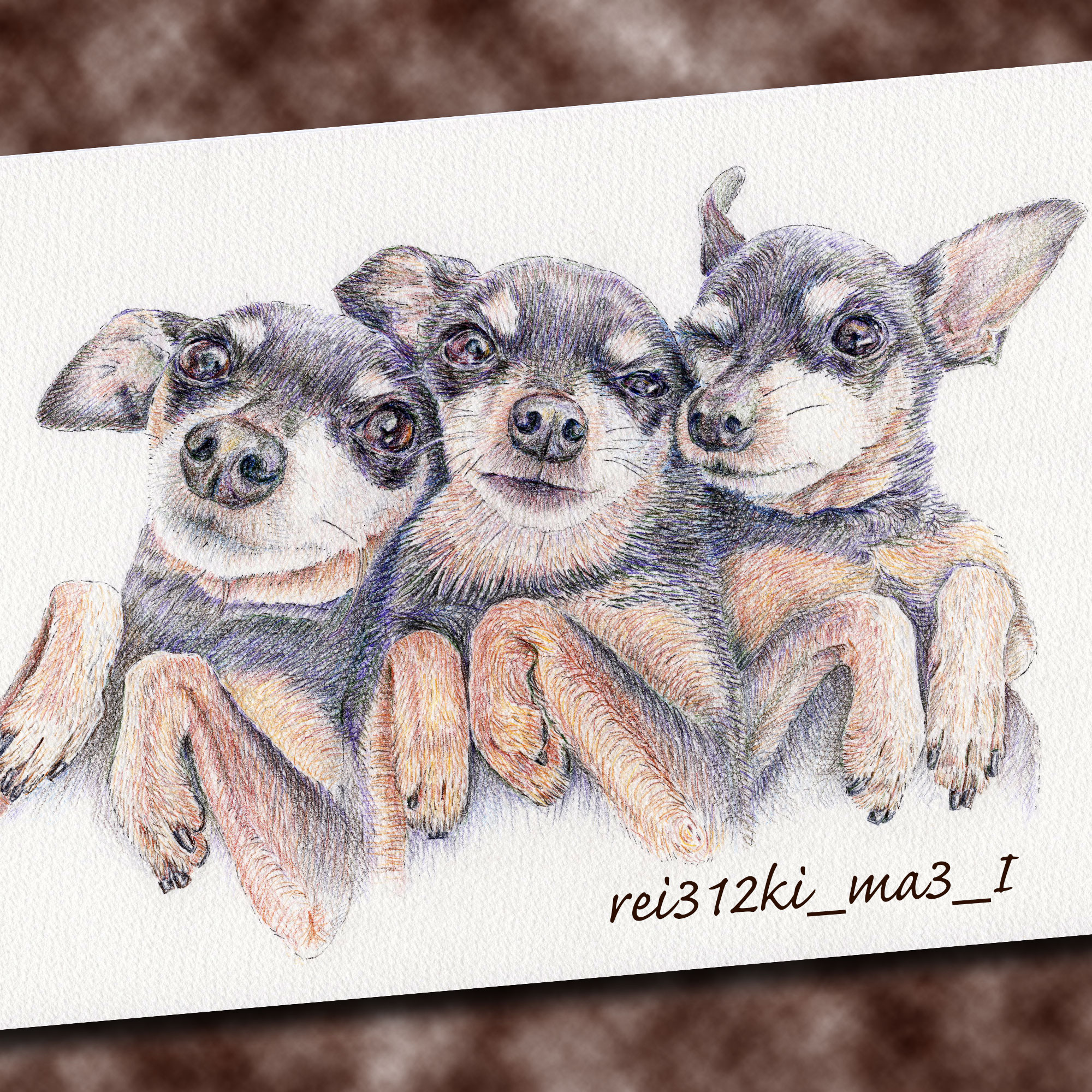 ミニチュアピンシャーの色鉛筆画