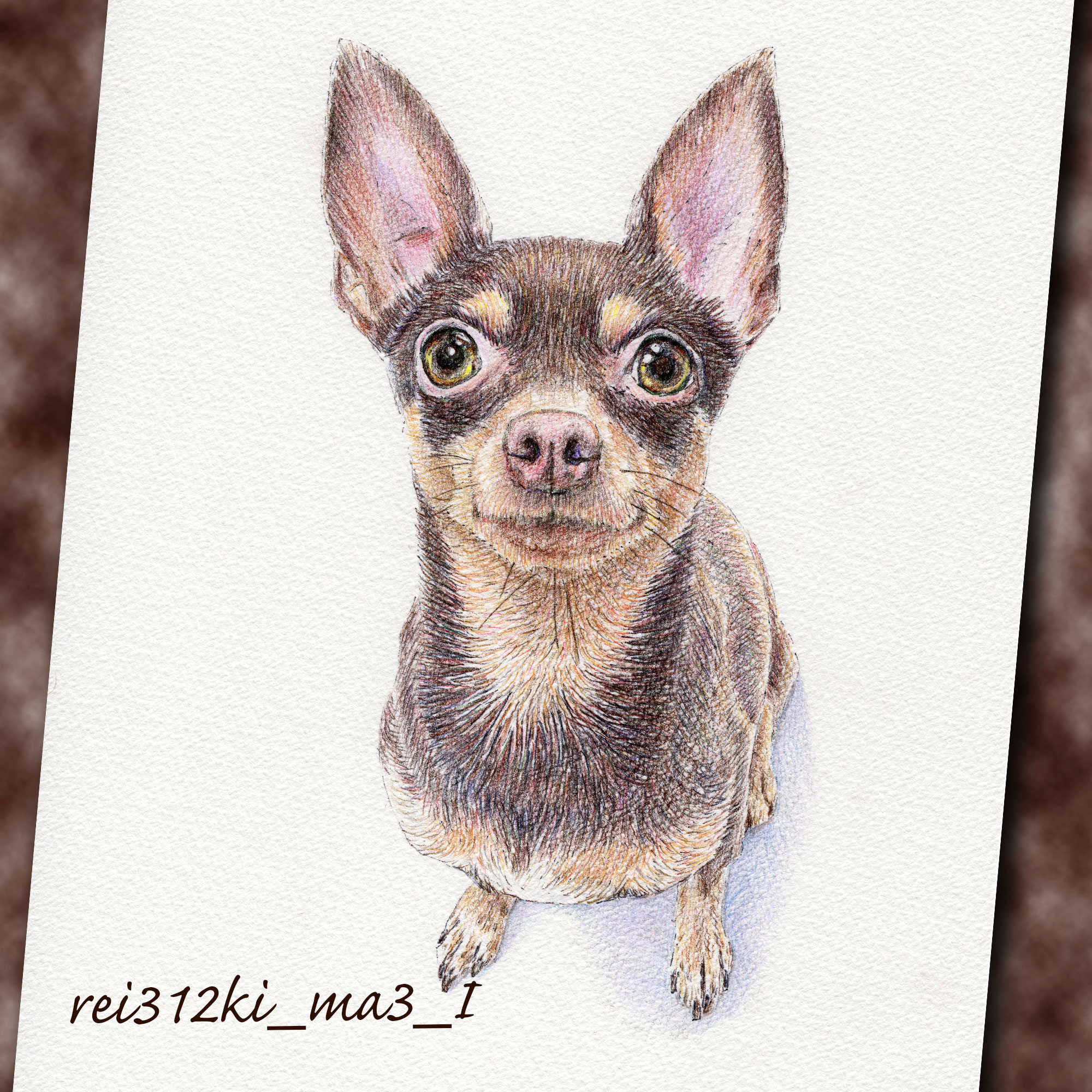 ミニピンの色鉛筆画