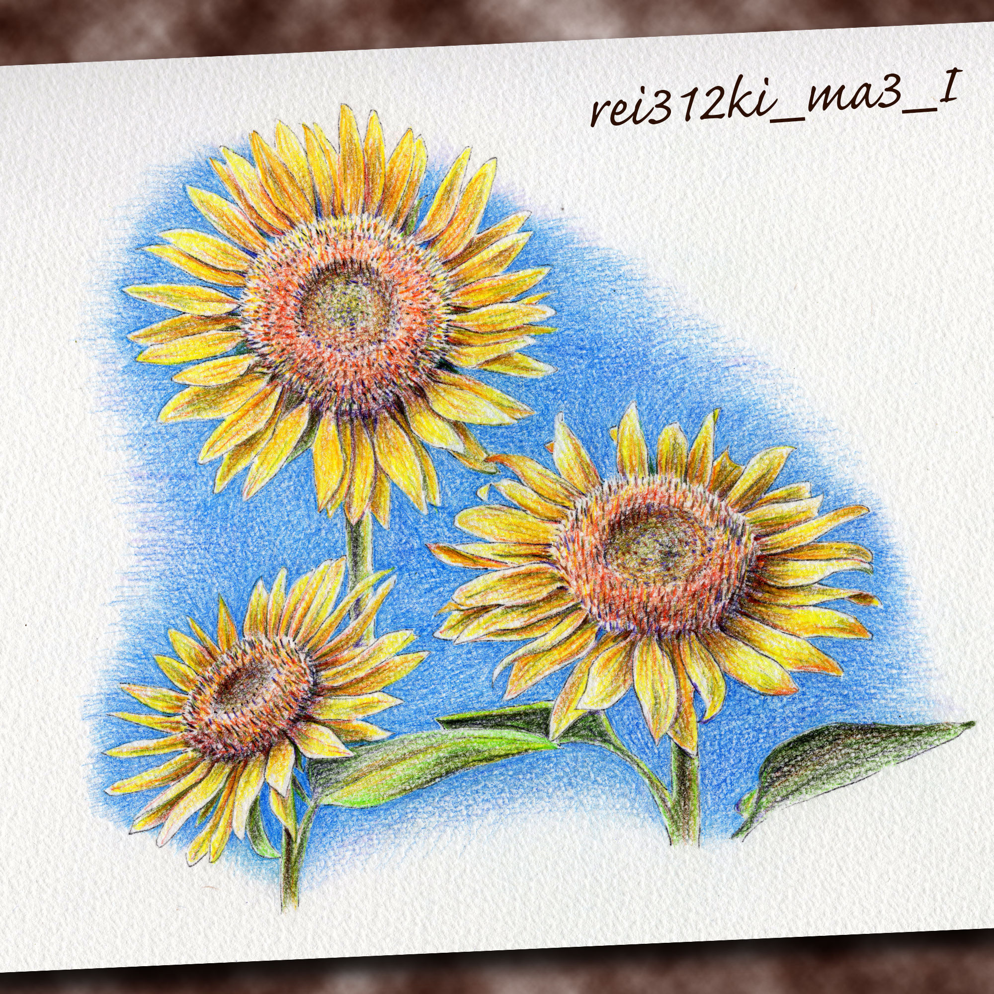 ミニチュアピンシャーの色鉛筆画