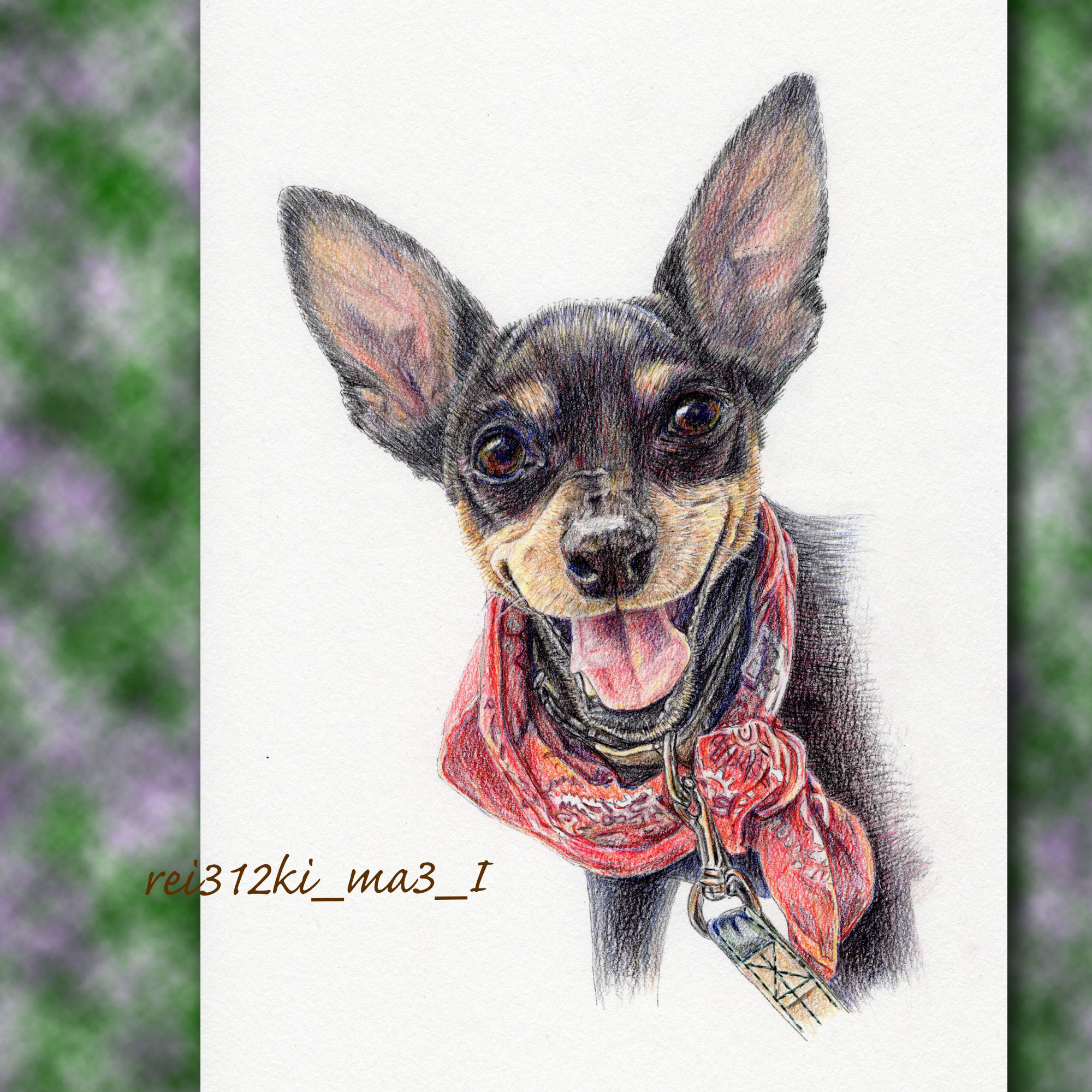 ミニピンの色鉛筆画