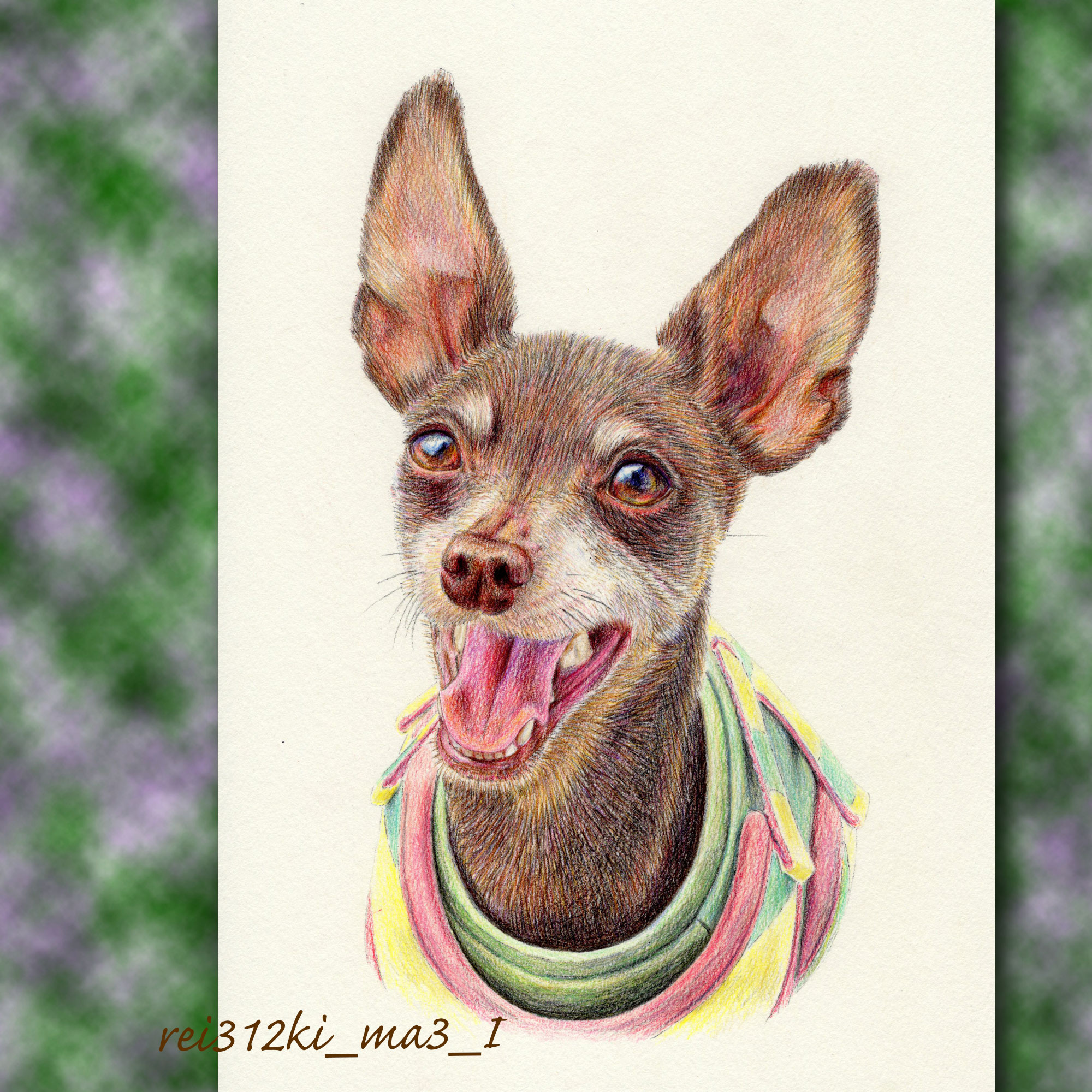 ミニピンの色鉛筆画