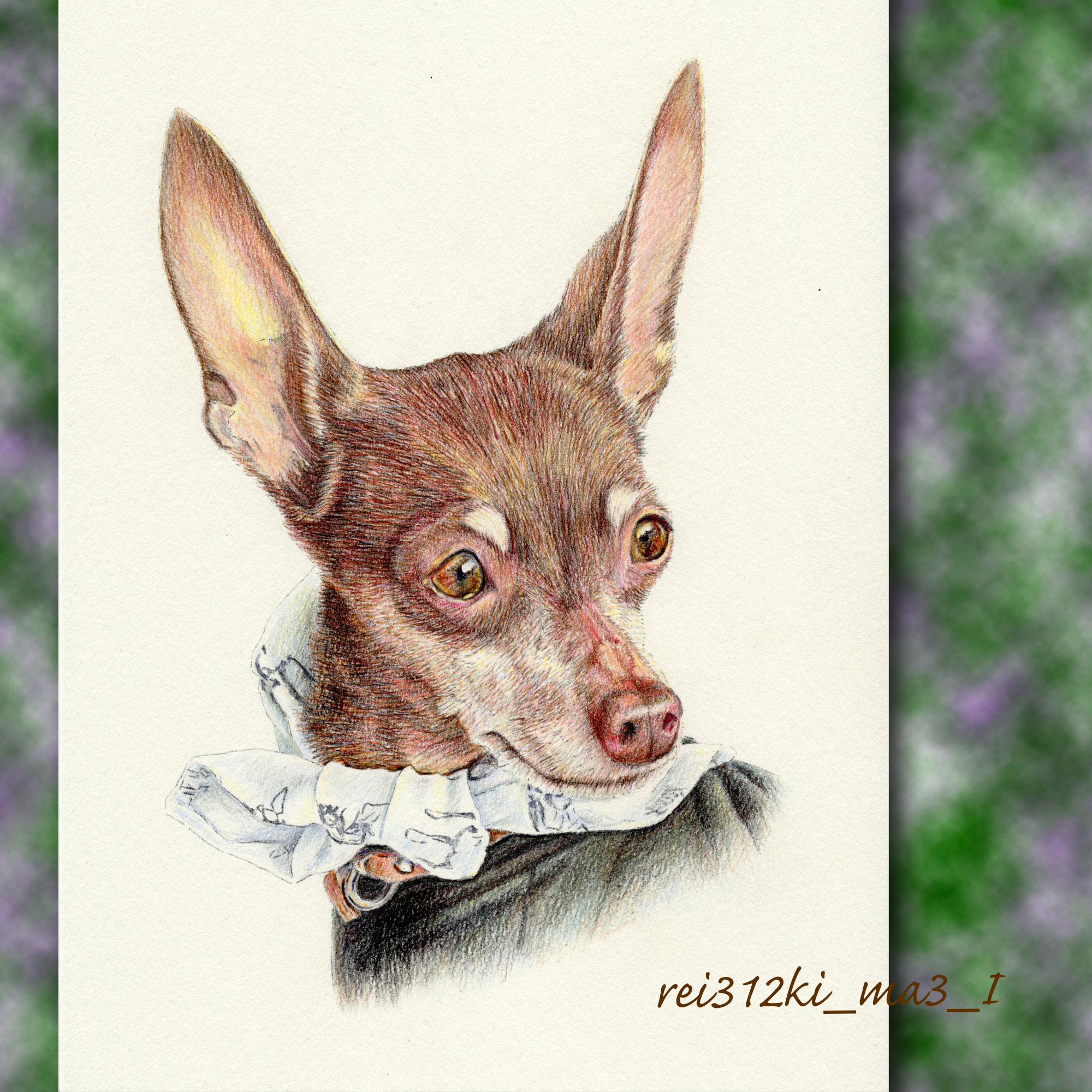 ミニチュアピンシャーの色鉛筆画