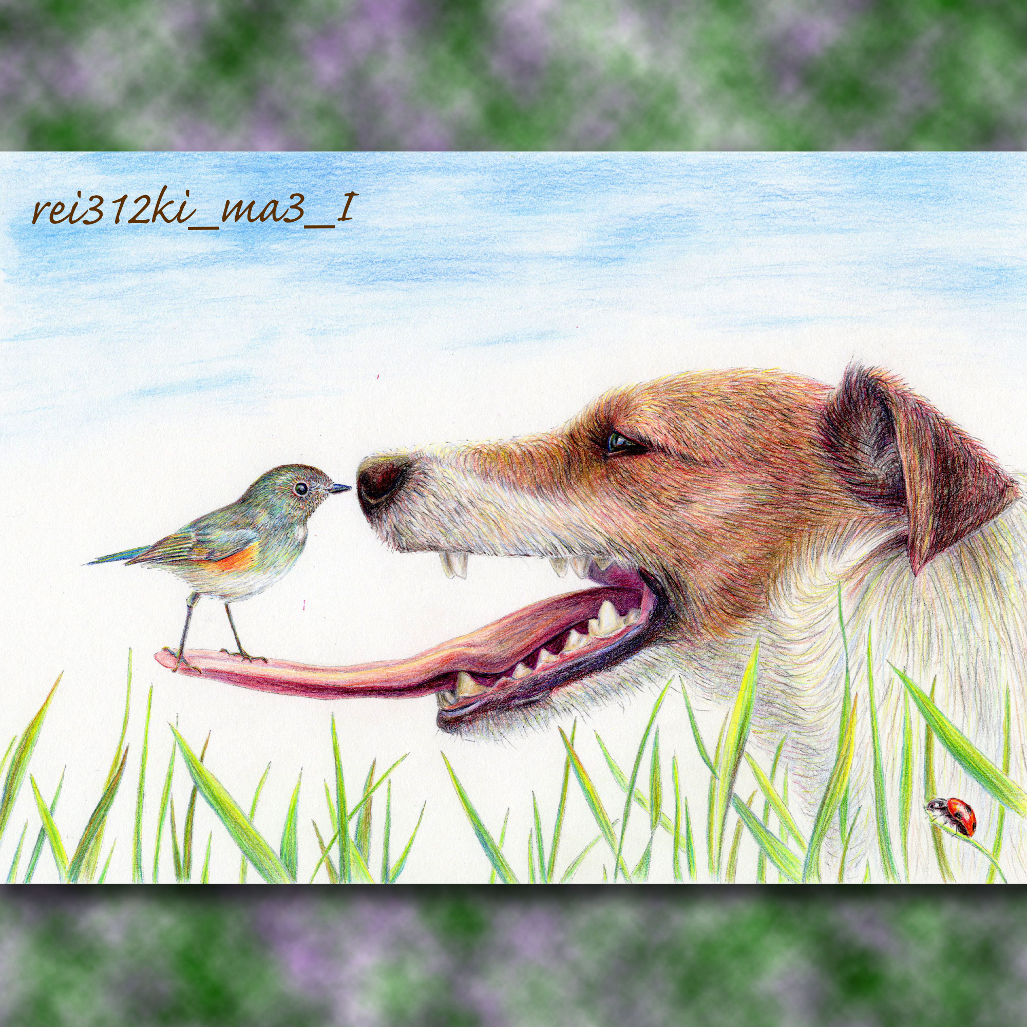 ミニチュアピンシャーの色鉛筆画