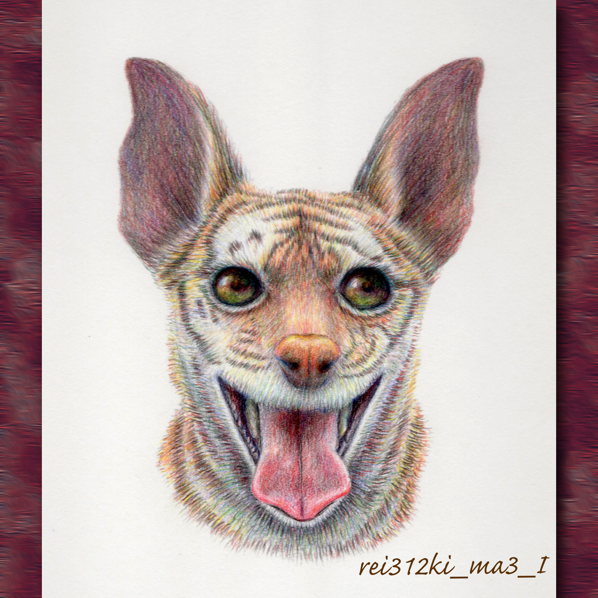 ミニピンの色鉛筆画