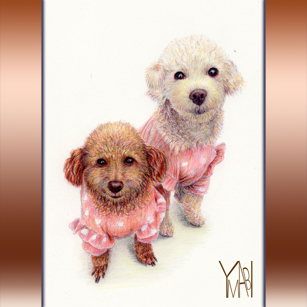 色鉛筆　オーダー似顔画