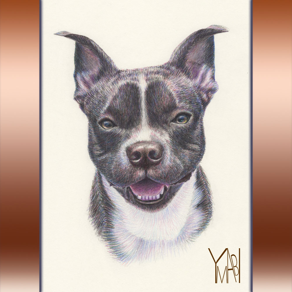 色鉛筆　オーダー似顔画