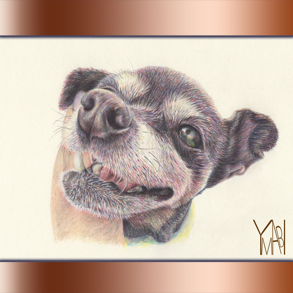 色鉛筆　オーダー似顔画