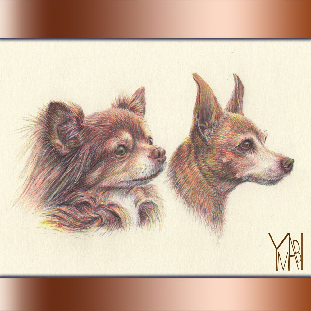 色鉛筆　オーダー似顔画