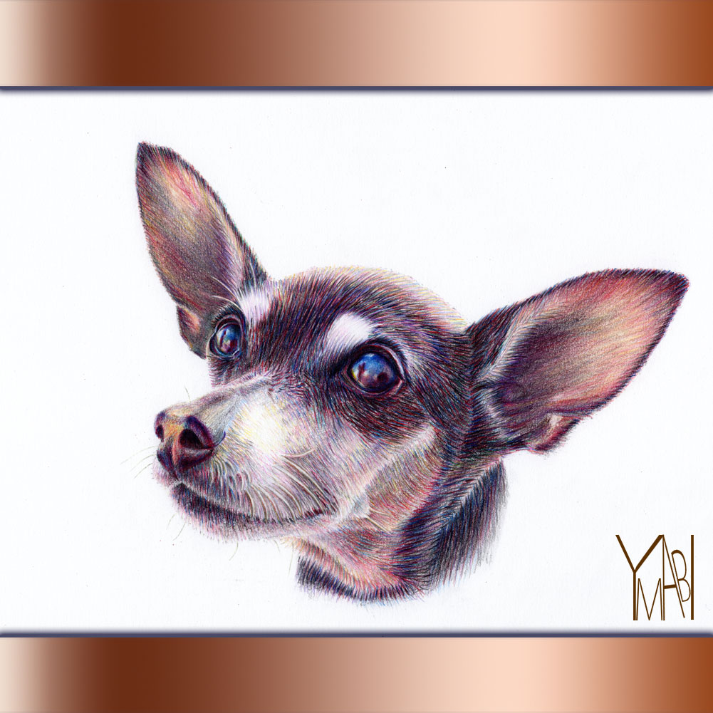 色鉛筆　オーダー似顔画