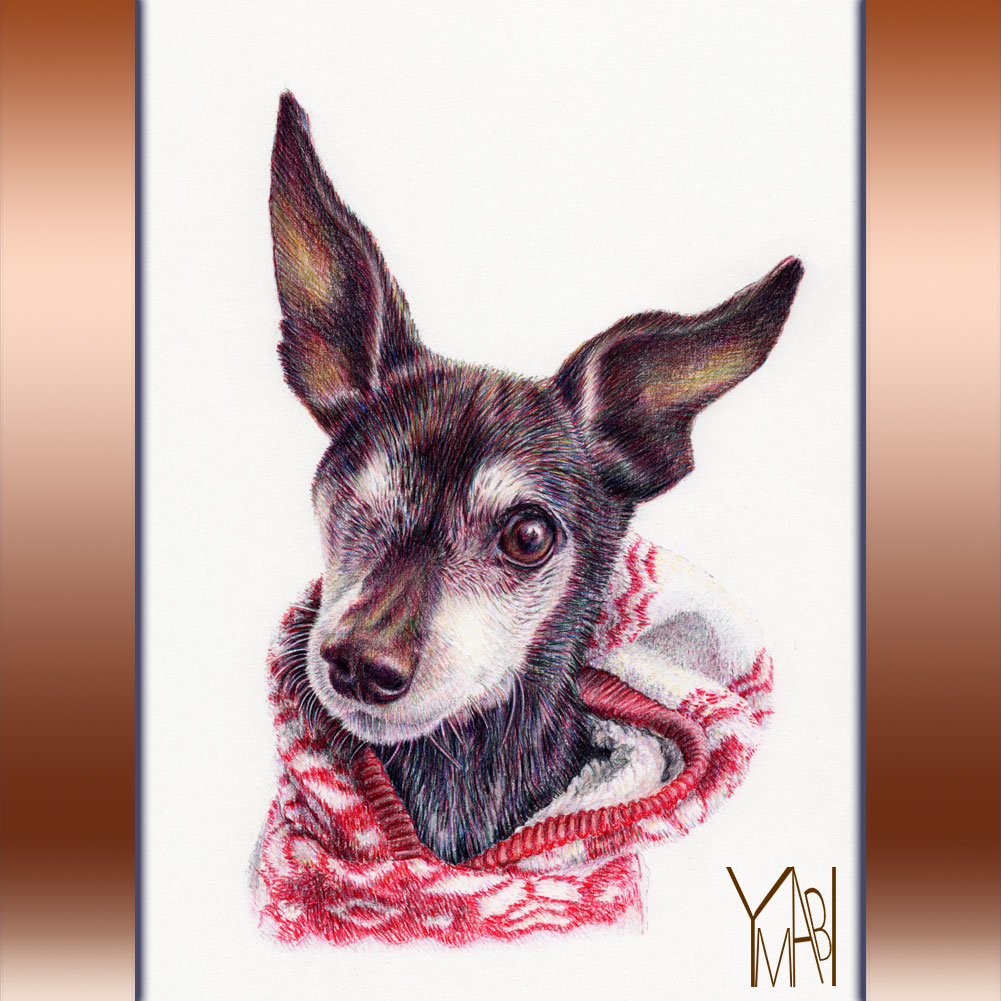 色鉛筆　オーダー似顔画