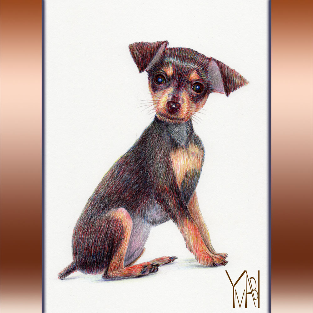 色鉛筆　オーダー似顔画