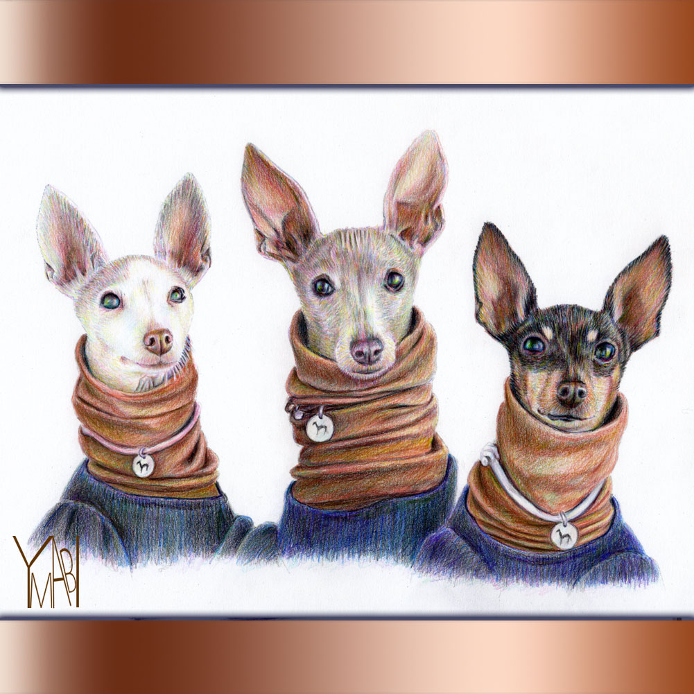 色鉛筆　オーダー似顔画