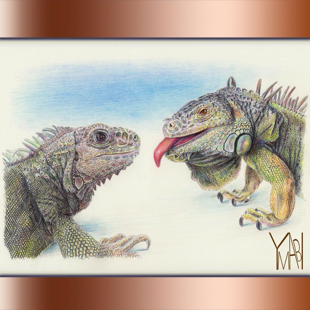 色鉛筆　オーダー似顔画