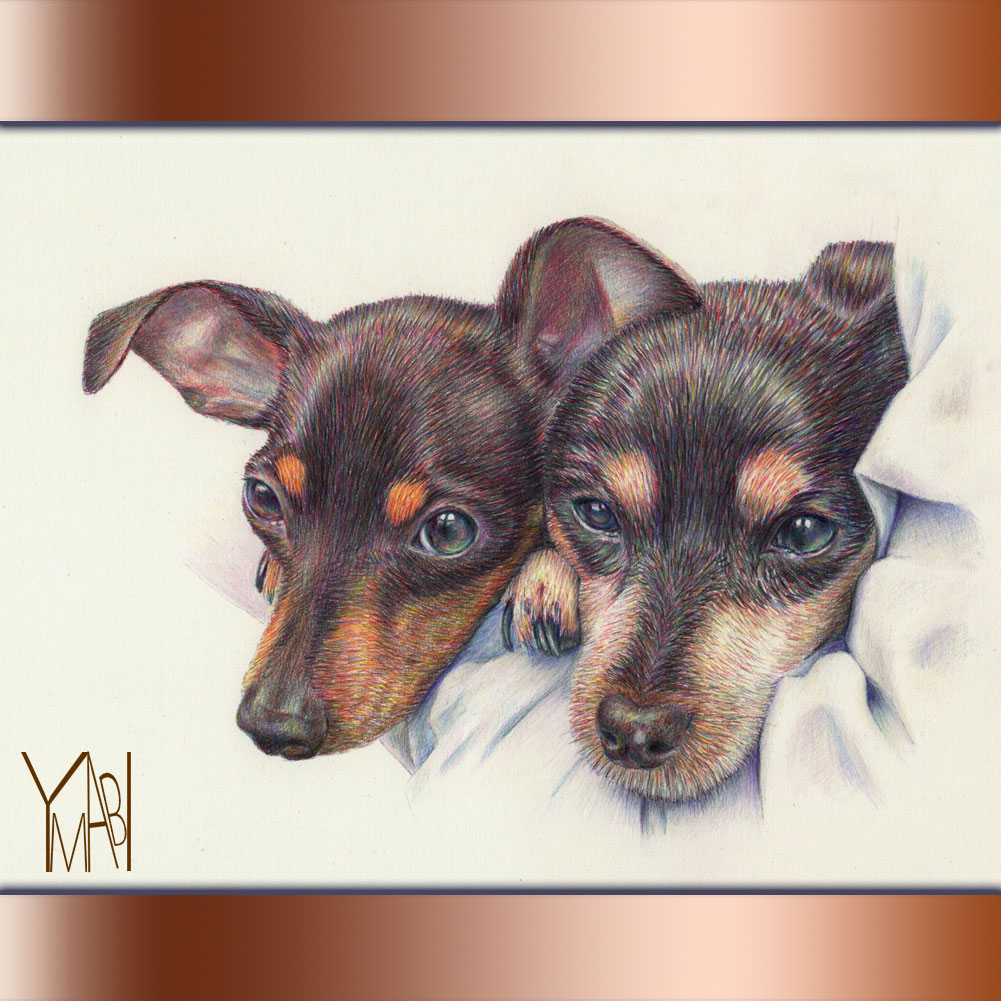 色鉛筆　オーダー似顔画