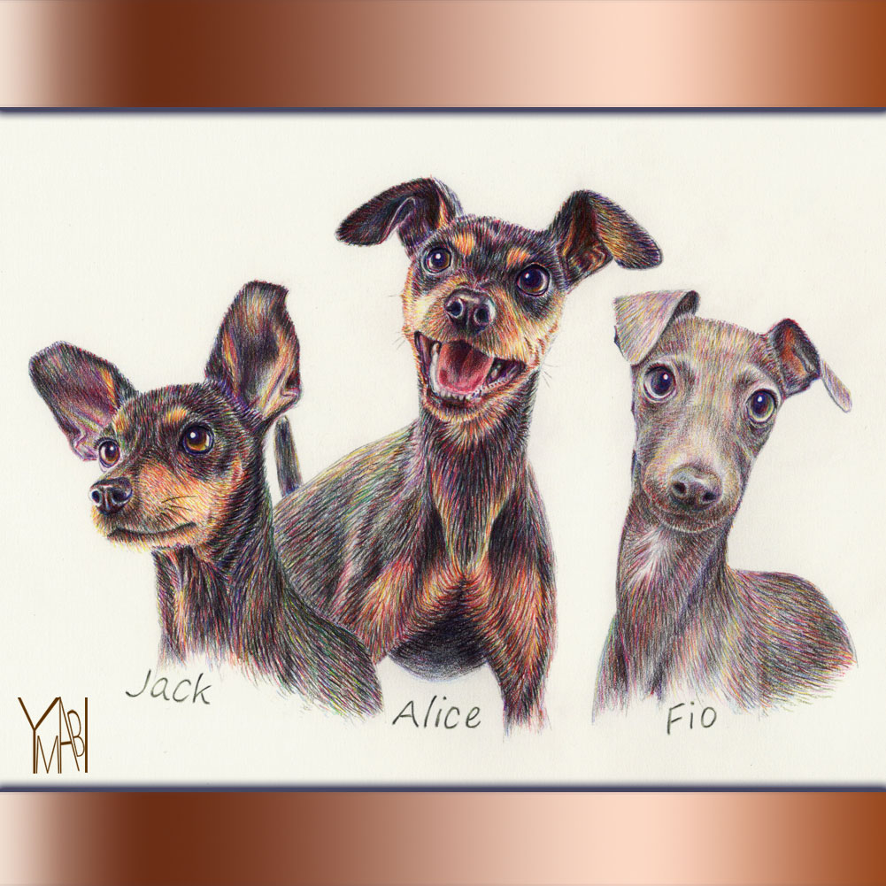 色鉛筆　オーダー似顔画