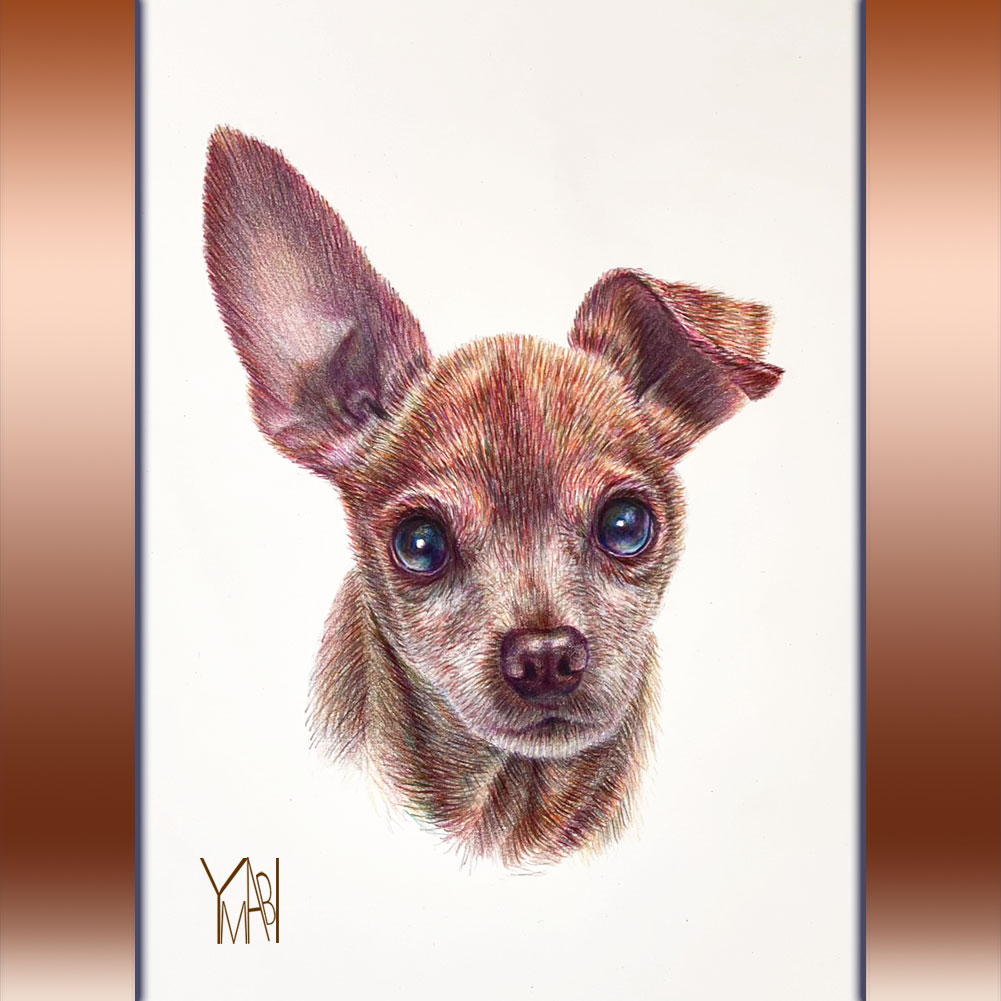 色鉛筆　オーダー似顔画