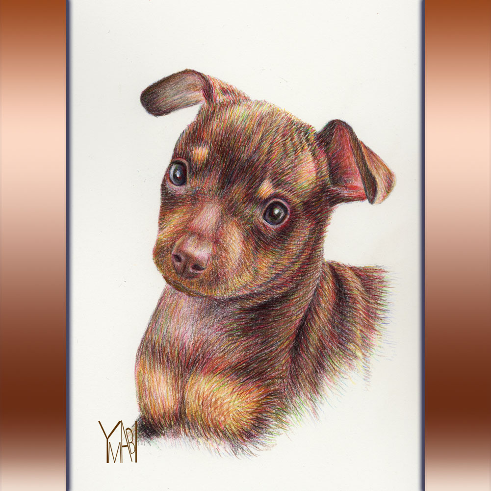 色鉛筆　オーダー似顔画