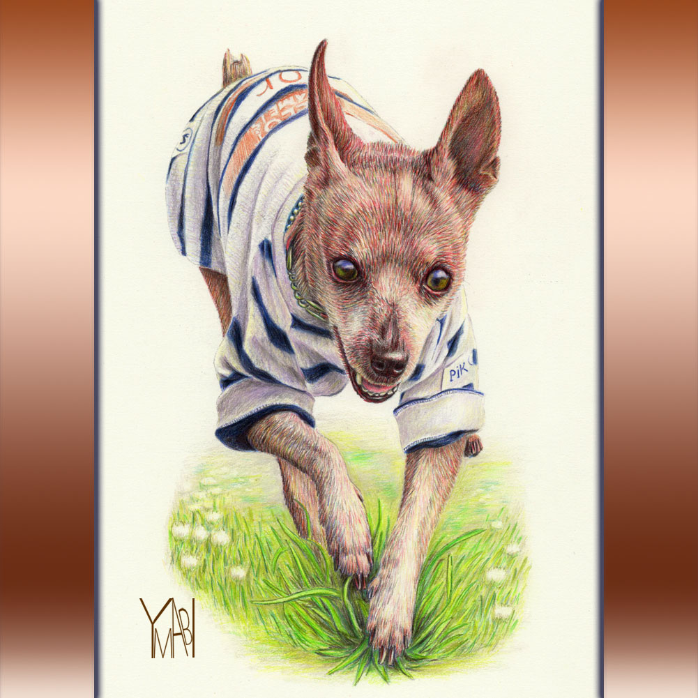 色鉛筆　オーダー似顔画